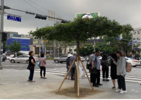 서울 마포구, 나무 500만 그루 심기 추진…"공기청정숲 조성"(종합)