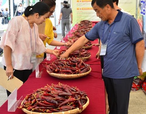 "최고 품질의 고추 싸게 사세요" 고창 해풍고추축제 23일 개막