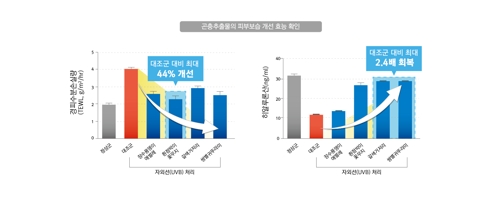 "굼벵이 추출물이 자외선에 탄 피부 보습에 효과"