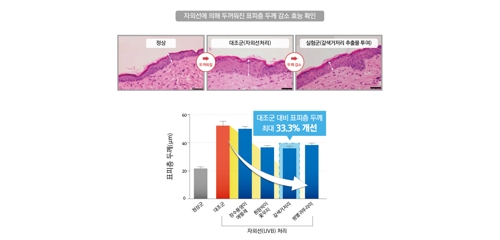 "굼벵이 추출물이 자외선에 탄 피부 보습에 효과"