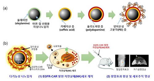 국내 연구진, 암세포 잡는 자연살해세포 공격력 높였다