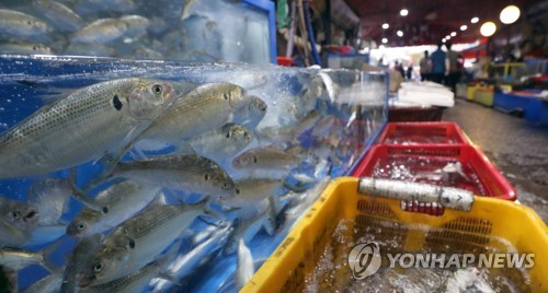 "가는 여름 아쉽다"…막바지 피서행렬, 바다·계곡·산으로