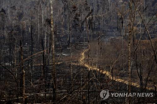 G7, '지구의 허파' 아마존 산불진압 돕기로…"기술·재정 지원"