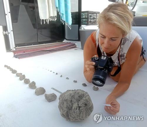 태평양 수중화산 폭발로 축구장 2만개 크기 '부석(浮石) 뗏목'