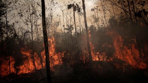 타들어가는 '지구의 허파'…부패·범죄 얽혀 사라지는 아마존 숲