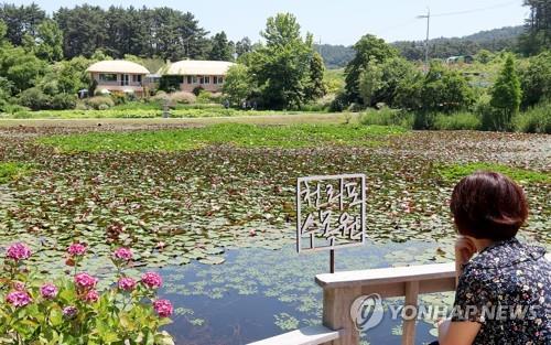 태안 천리포수목원 추석 이벤트 다채…한복 입고 오면 무료