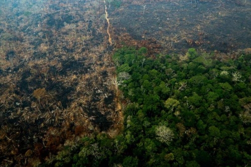 아마존 산불 사태로 남미공동시장-EFTA 간 FTA 체결 난항 예상