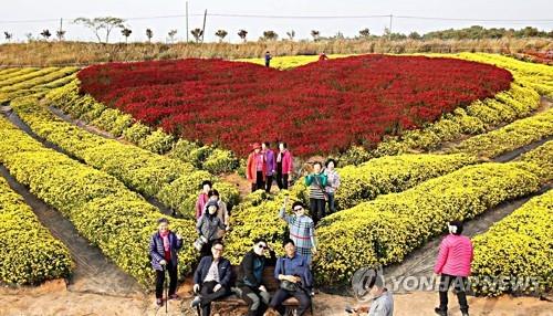 서산국화축제, 소비자 신뢰 대표브랜드 대상 수상…4년 연속