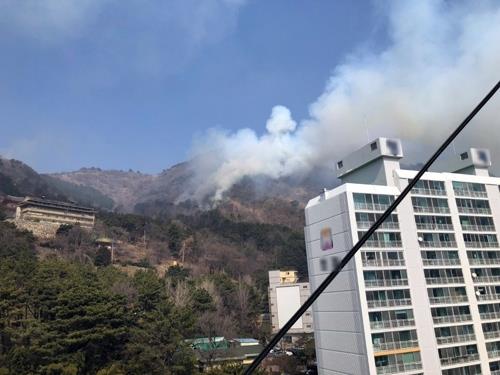 부산 승학산 방화 50대 집유…법원 "처지 비관 우발적 범행"