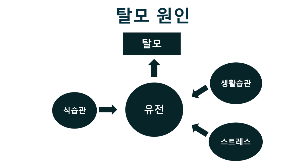 [건강매거진] 탈모량 8~9월 최고, 왜 여름에 더 빠질까?