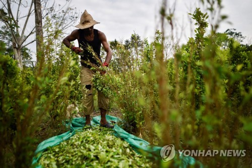 콜롬비아 평화협정 3년…여전히 전쟁터인 국경지역 카타툼보