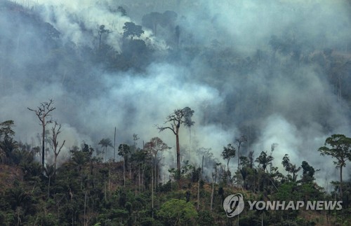 "경제·환경 다 빨간불"…브라질인 과반 '대통령 지지 안한다'