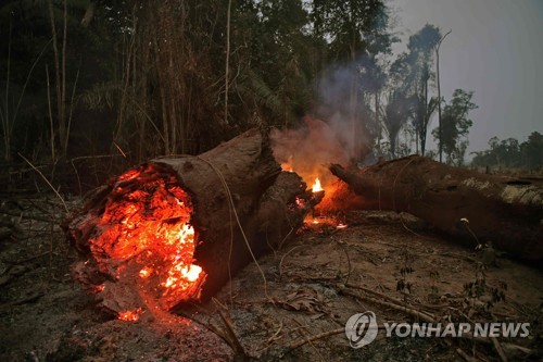 아마존 산불 확산하는데…브라질 "자기 집이나 챙겨라" 지원거절