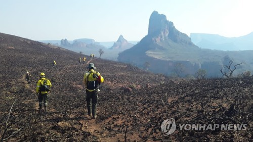 볼리비아도 산불로 몸살…동부 산불로 서울면적 10배 피해