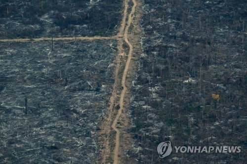 지구 곳곳서 타오르는 대형산불…"기후변화·탐욕이 재앙 불러"