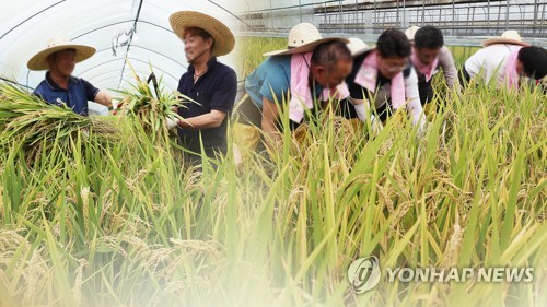 춘천시, 청년 농업인 정착 위한 조례 마련한다