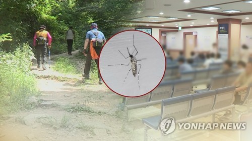 충남 예산서 일본뇌염 모기 발견…작년보다 2주 늦어