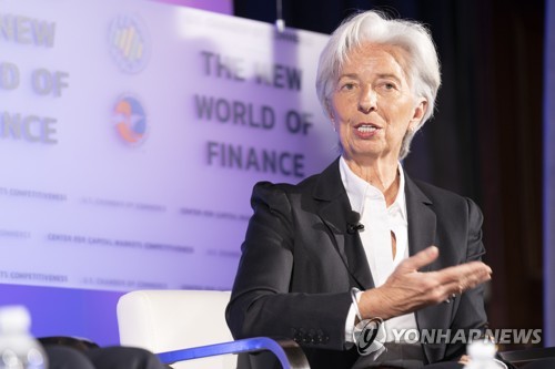 IMF 총재 인선 '유럽 단일후보' 논의 난항