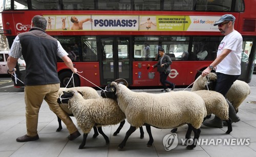 브렉시트 강경 존슨의 英정부도 우려하는 '노딜 대혼란'은