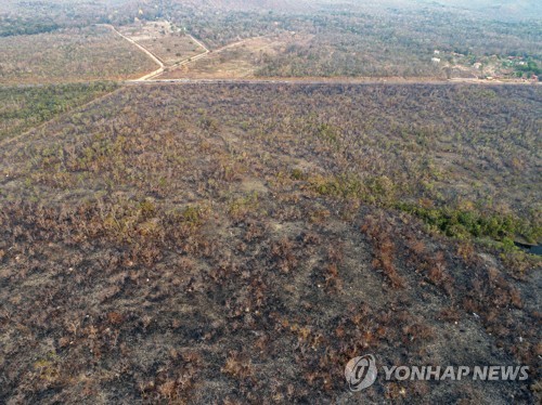 칠레·콜롬비아 "브라질 아마존 산불 진화 돕겠다"