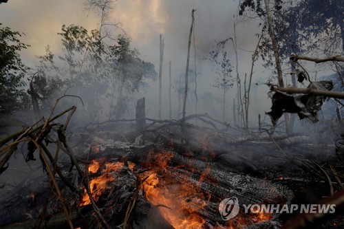 브라질 "아마존 산불 해외지원 받을 수 있다…우리가 관리해야"