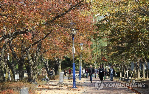 울산·포항·경주 관광홍보 '맞손'…관광콘텐츠 페스타 개최