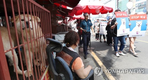 [톡톡 지방자치] 동물과 사람 공생 이끈 구포 개 시장 폐업