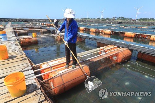 제주시, 양식장 고수온 피해예방 총력대응 체제