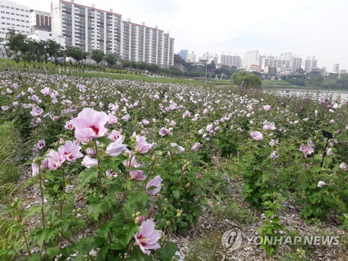 광복절 기념 울산서 21년째 나라꽃 무궁화 전시회