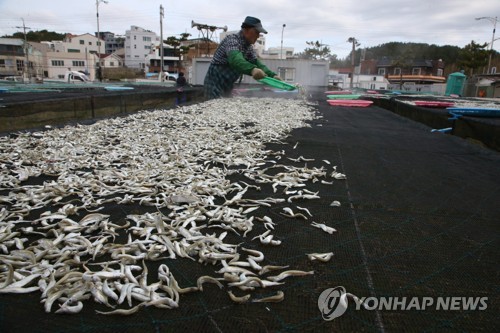 [2020예산] 농어업 구조혁신에 집중…항만 미세먼지 저감예산 4배↑