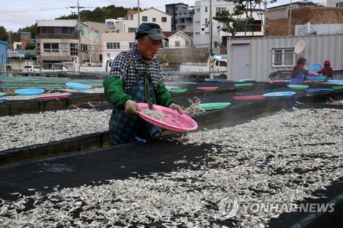 연근해어업 상반기 생산량 38만t…지난해보다 7.2% 증가