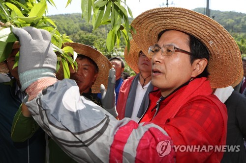 황교안, 경북서 민생행보…과수농가·日보복 피해기업 방문