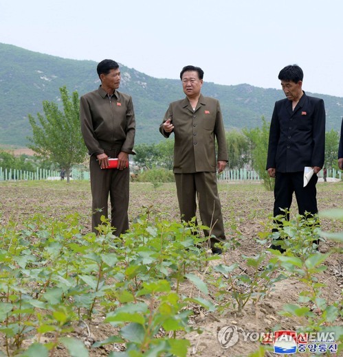 北신문, 산불 자주 발생한 지역 공개비판…"간부들 무책임"