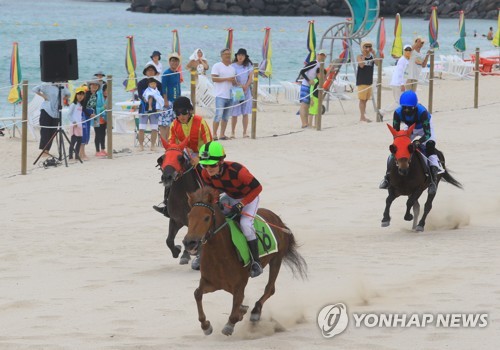 마사회 제주본부, '말과 함께하는 제주 원데이 투어' 운영