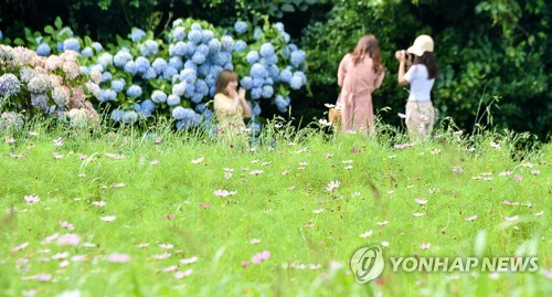 [줌in제주] 대통령 멘토도 반한 곳…유명인들 "제주에 집 있어요"