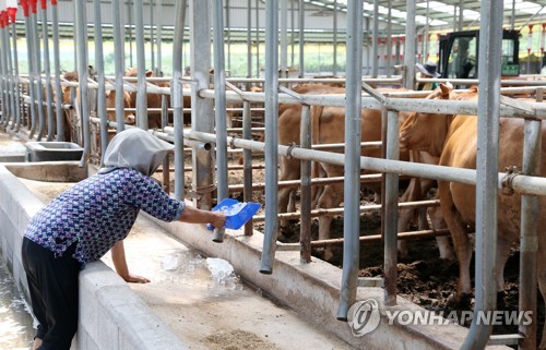 영천·경주 36.7도 등 대구·경북 무더위 기승