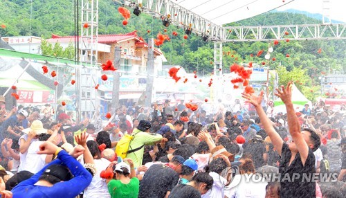 화천 토마토 바다에 11만명 풍덩…경제파급효과 60억원 전망