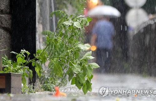 [내일날씨] 남부지방 비 계속…낮 최고기온 29도