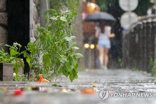 대전·충남 무더위 계속…곳에 따라 소나기