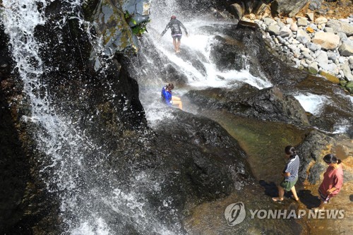 '가을의 문턱' 입추인데…제주 폭염·열대야 기승(종합)