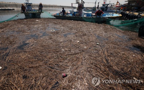 폭우 쓰레기 동해안 해수욕장·항구 점령