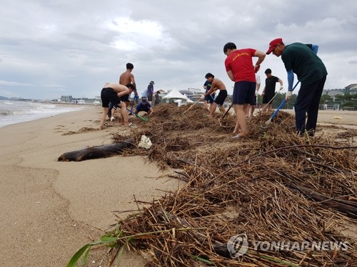 폭우 쓰레기 동해안 해수욕장·항구 점령