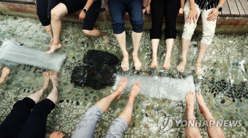 연일 폭염에 경북서 온열 질환 급증…가축도 14만마리 피해