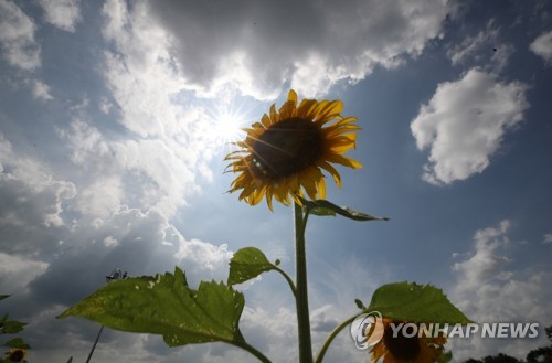 [날씨] 일요일 전국 대체로 맑아…서울 낮 30도·대구 32도