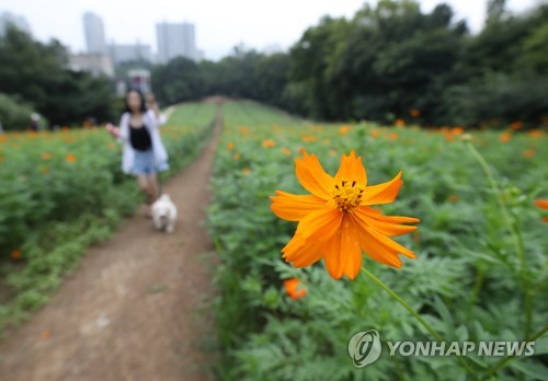 여름 끝, 가을 시작…오늘 비 내리고 폭염특보 모두 해제