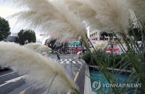 대구·경북 흐리고 가끔 비…낮 최고 28도