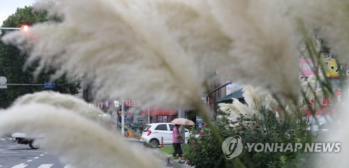 경북 7개 시·군 호우주의보 해제…오후 늦게 대부분 그쳐