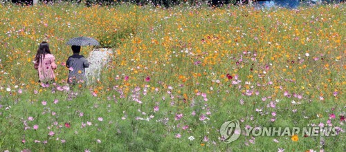 [내일날씨] 낮 최고 31도 더위…강원영동 빗방울