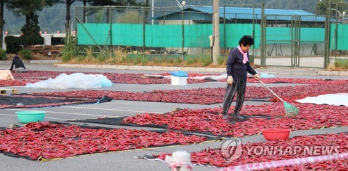 [카메라뉴스] 절대 도둑맞을 걱정 없는 농산물 건조장