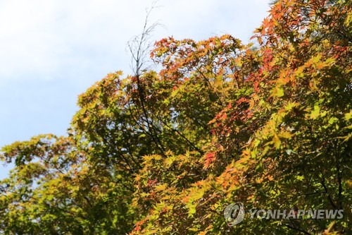 산악사고 38%는 동네 뒷산서 발생…"만만하게 보면 안 돼"